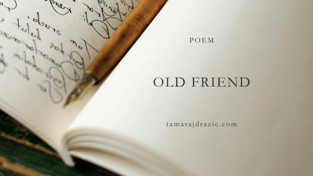 Decorative image of a notebook with a pen resting in the centre.